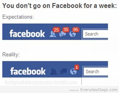 facebook-expectation-vs-reality-pics-guyism.jpg