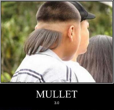 mullet-haircut-guyism.jpg