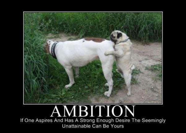 ambition.jpg