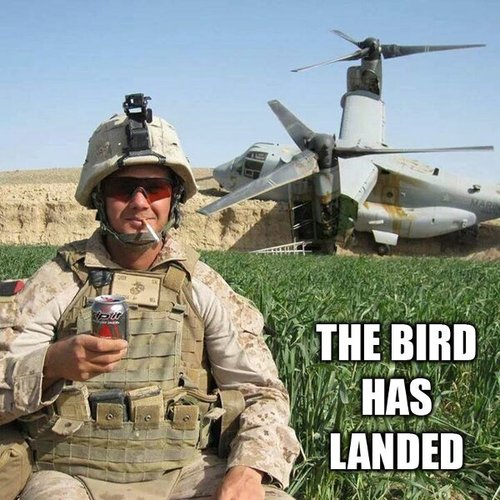 military plane crash Must See Imagery: 50 funny pics to brighten your Tuesday